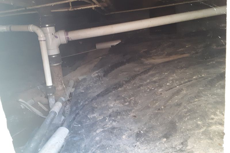 Crawl space beneath a house