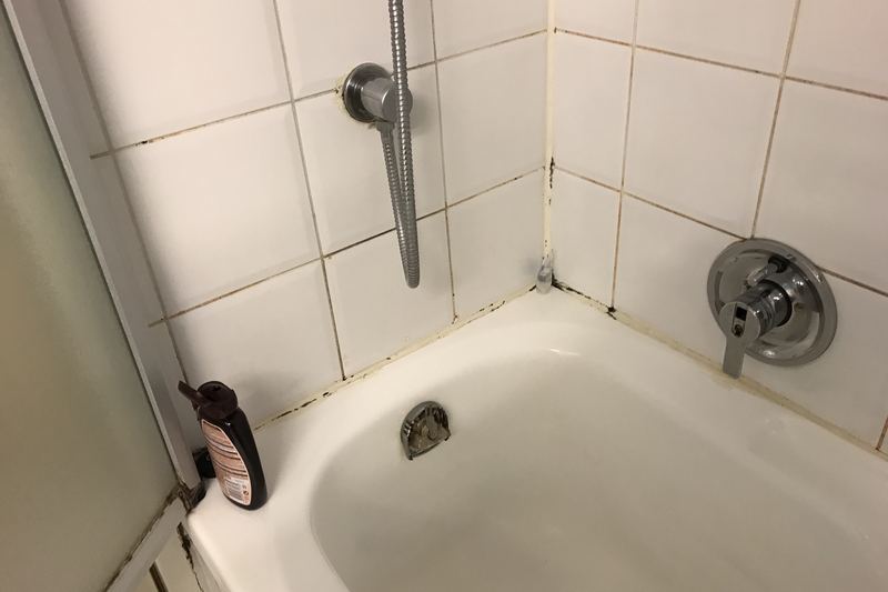 Mould growth on hotel room wall (photo 10)